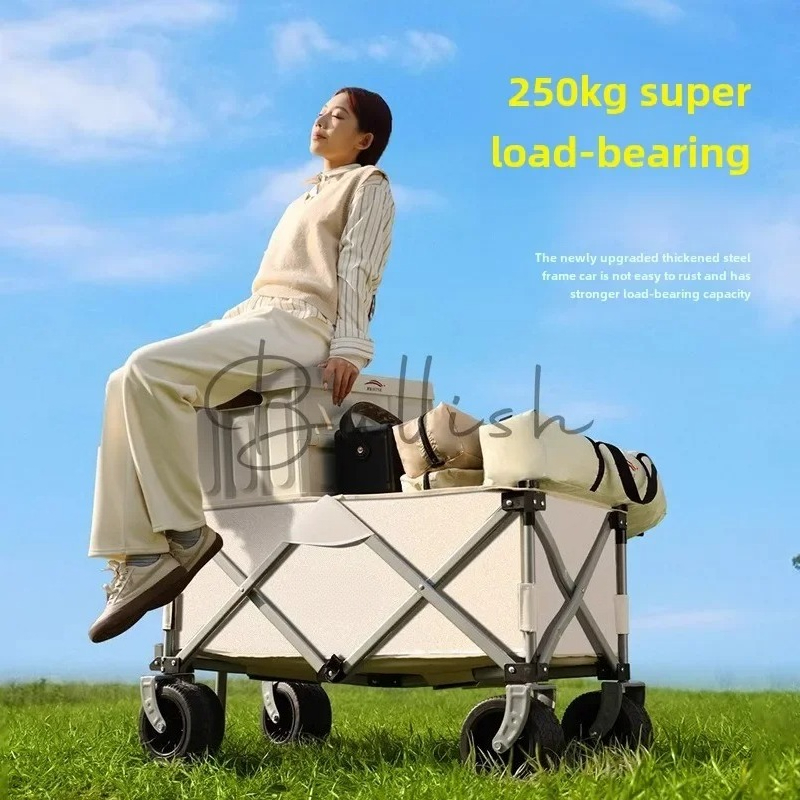 Camping trolley Outdoor foldin - Outdoor Camping Trolley review and price