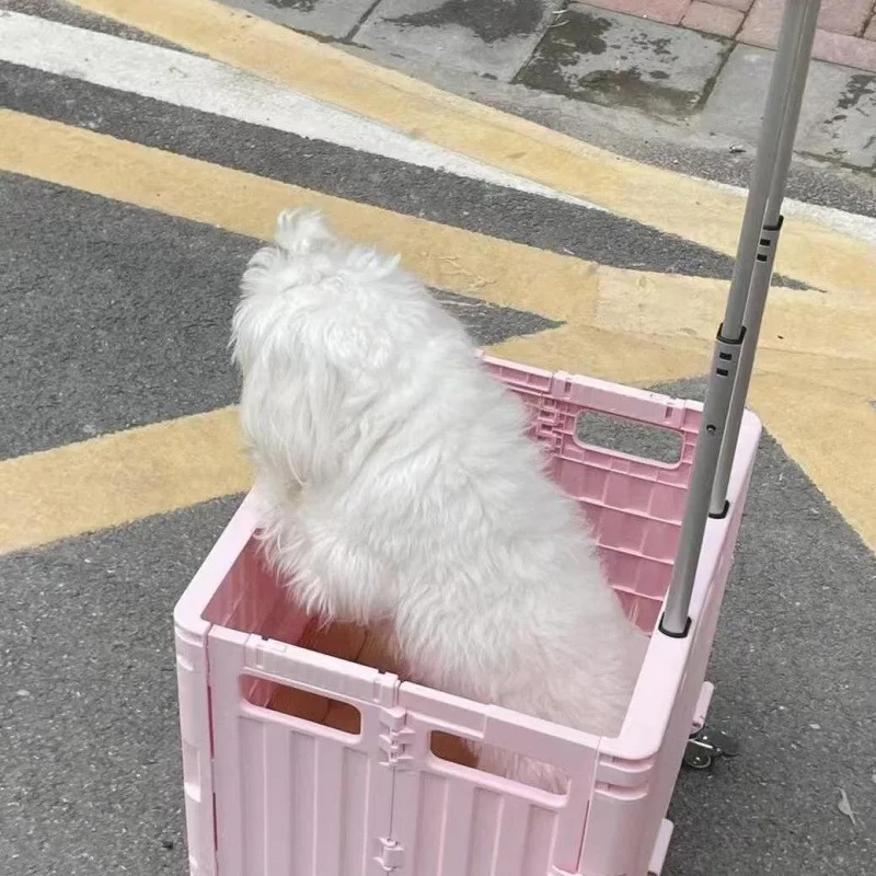 Folding Convenient Supermarket - Outdoor Camping Trolley review and price