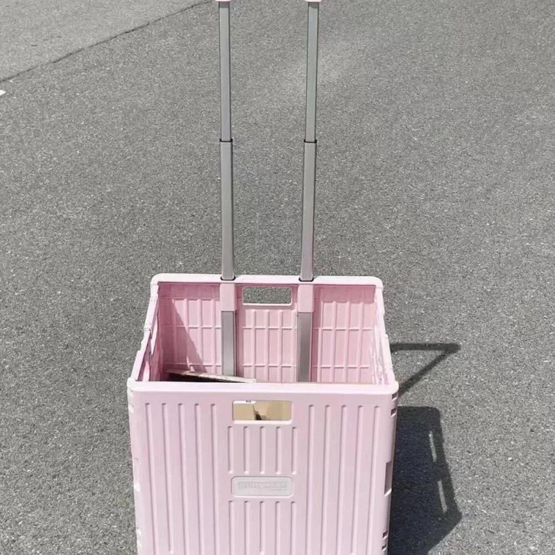 Folding Convenient Supermarket - Outdoor Camping Trolley review and price