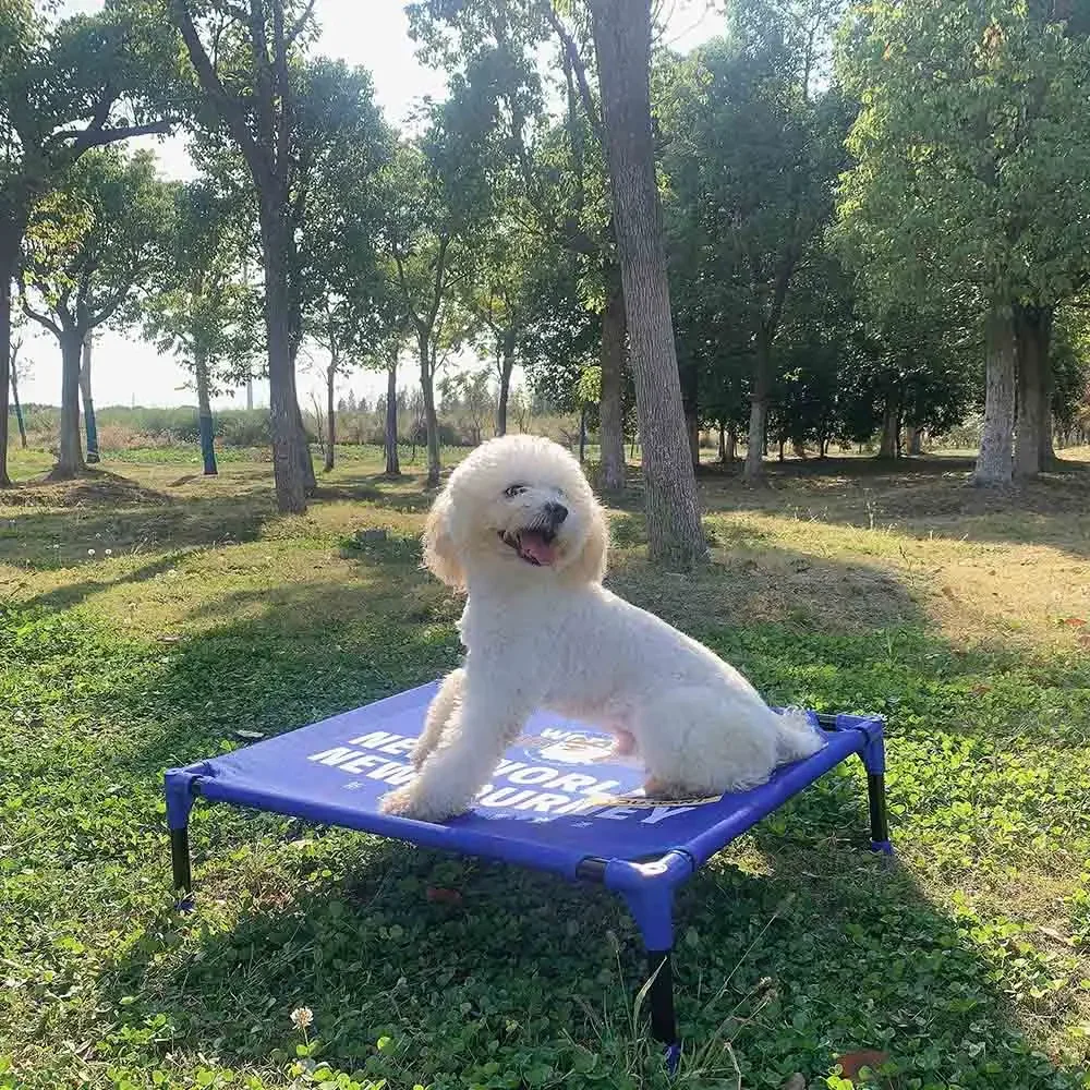FULED Portable Outdoor Elevate - Outdoor Camping Dog Bed review and price