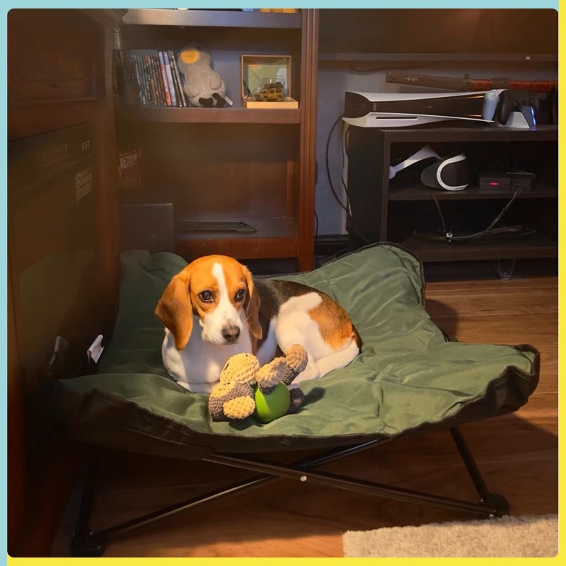Portable Folding Pet Bed Outdo - Outdoor Camping Dog Bed review and price