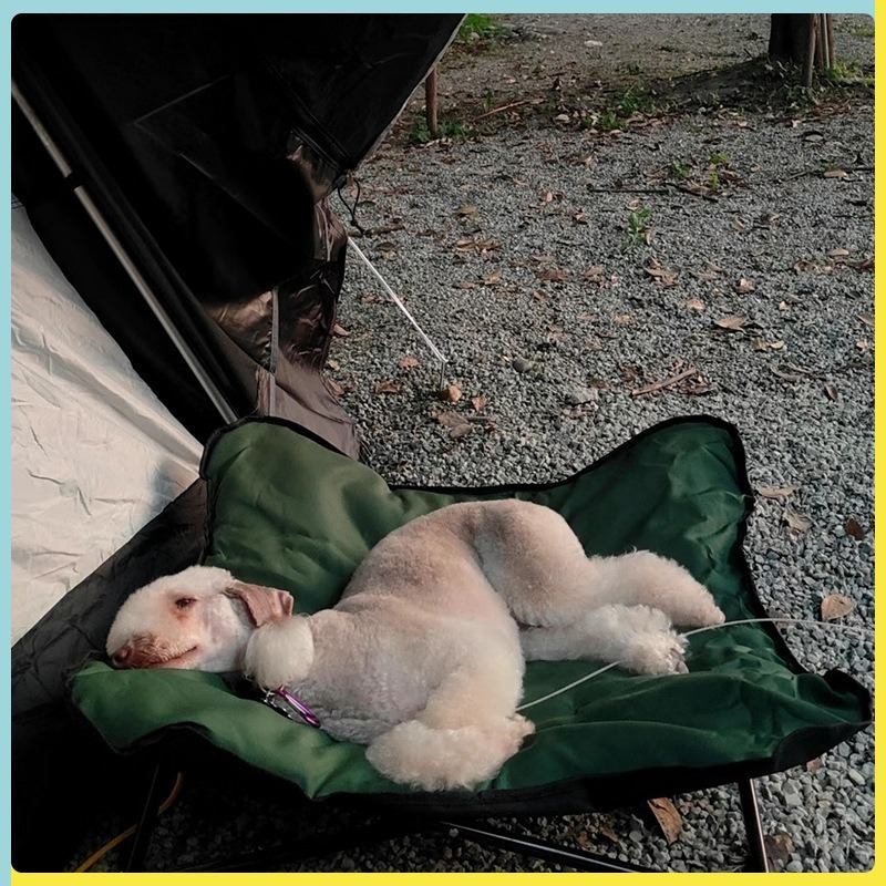 Portable Folding Pet Bed Outdo - Outdoor Camping Dog Bed review and price