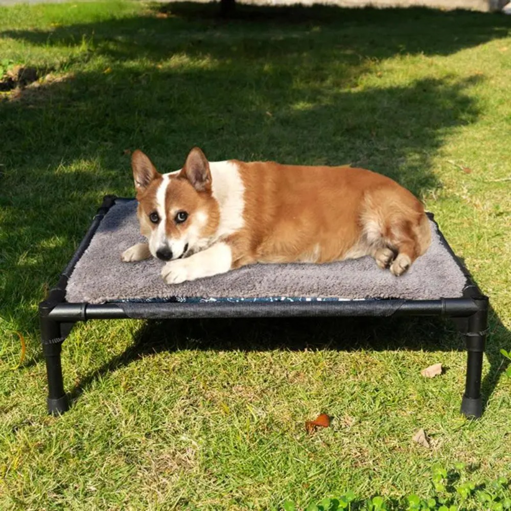 Outdoor Elevated Dog Bed, Fold - Outdoor Camping Dog Bed review and price