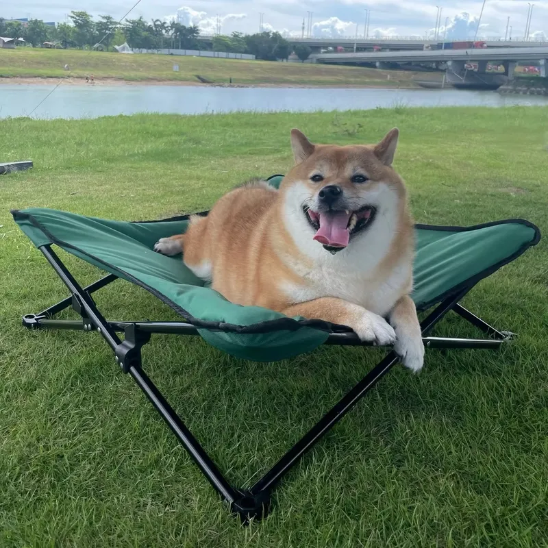 for Luxurious Modern Portable  - Outdoor Camping Dog Bed review and price